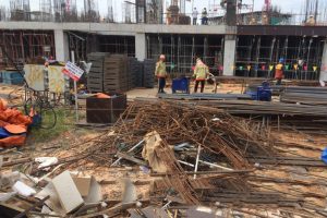 Thu Mua Phe Lieu (2)