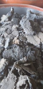 Thu Mua Phe Lieu (3)