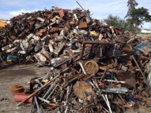 Thu Mua Phe Lieu (6)